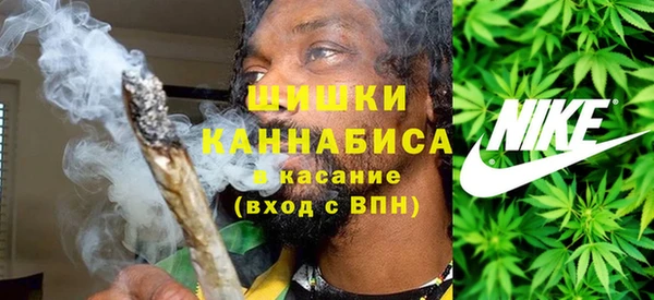 твердый Алзамай