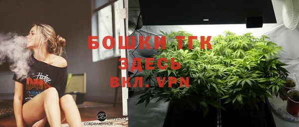 твердый Алзамай